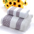 Lot de 2 serviettes de bain 11